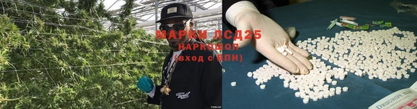 ПСИЛОЦИБИНОВЫЕ ГРИБЫ Абаза